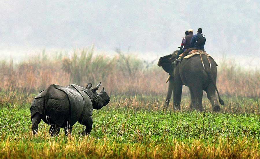 Assam-Holidays